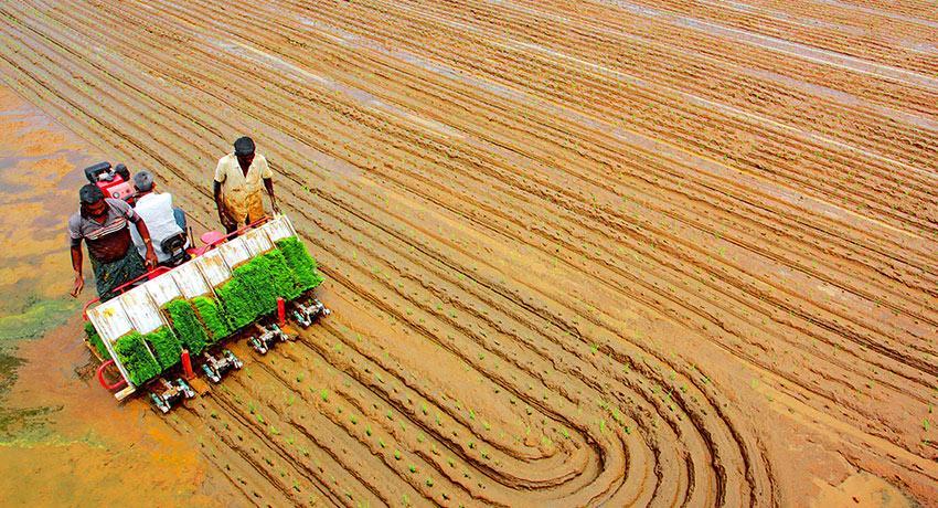 Agriculture Revolution